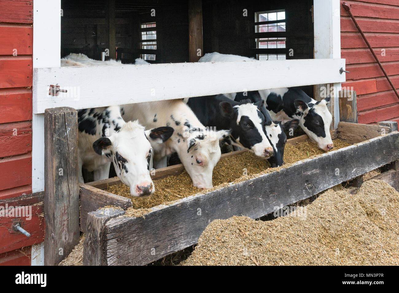 Red Barn Siding Stock Photos Red Barn Siding Stock Images Alamy