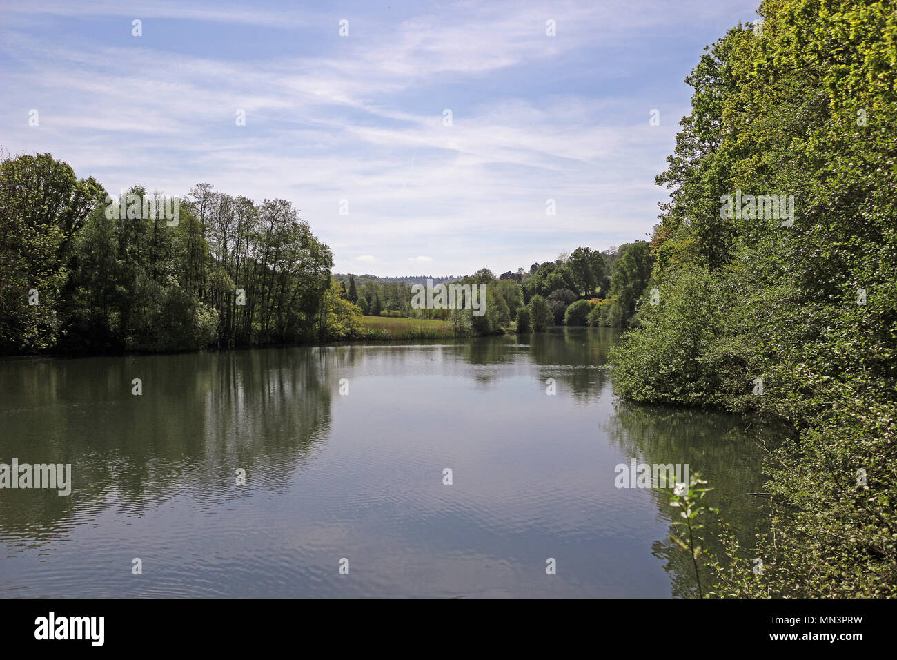 Lake surrounded by trees hi-res stock photography and images - Alamy