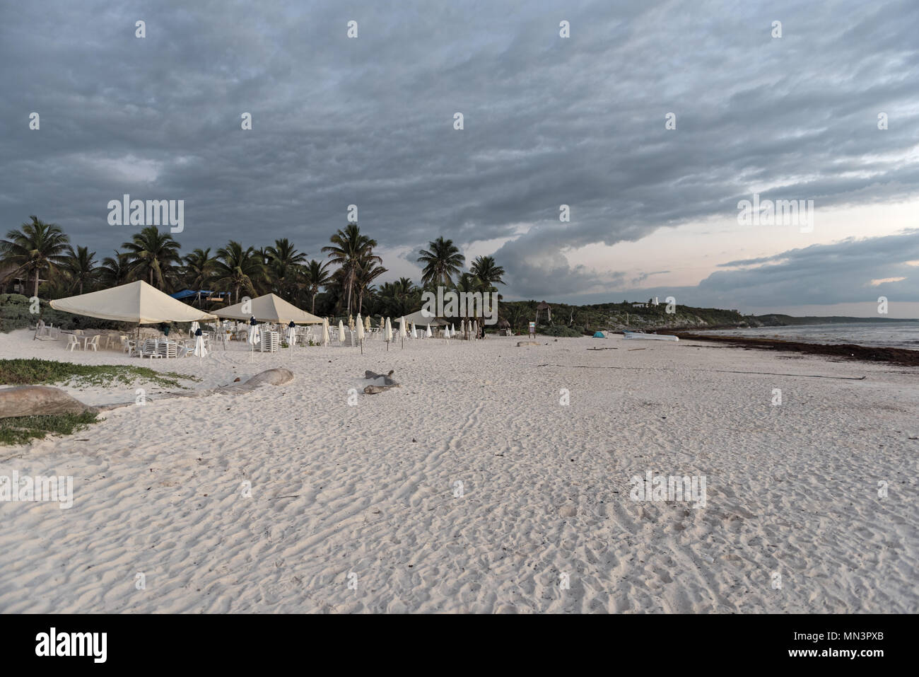 beautiful caribbean sand beach near the ruins of tulum, mexico Stock Photo