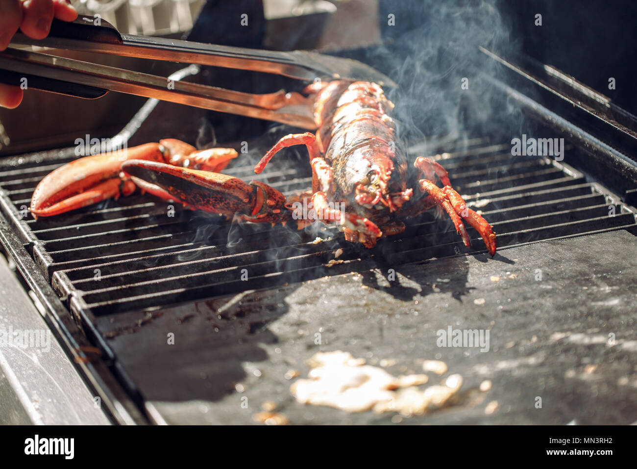 Lobster Withoit Shell grill giant fresh water lobster bbq, no claws. Sea food. cooking ...