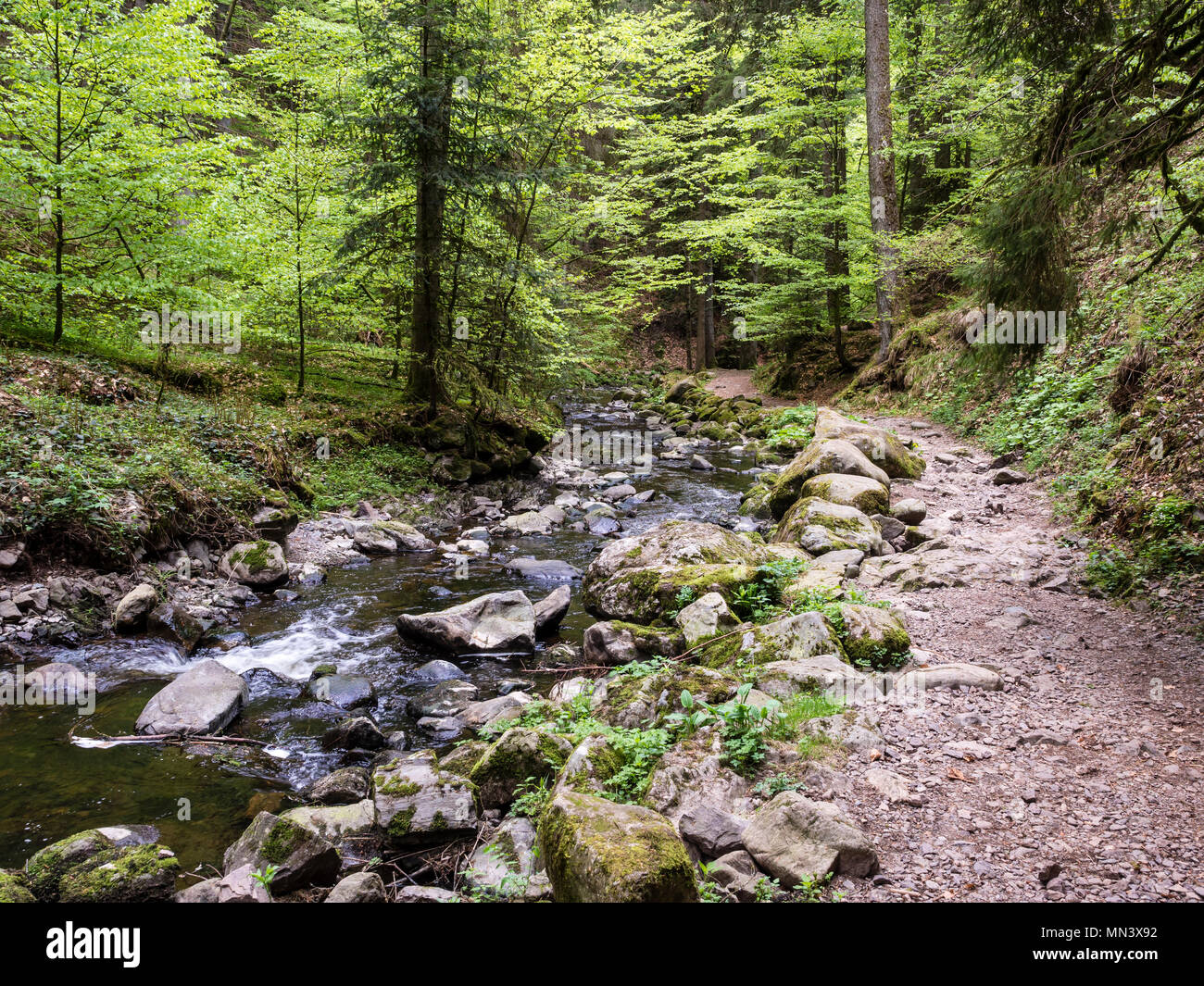 Hiking path with bridge in Ravenna gorge, near Hinterzarten, Black Forest, Baden-Württemberg, Germany Stock Photo