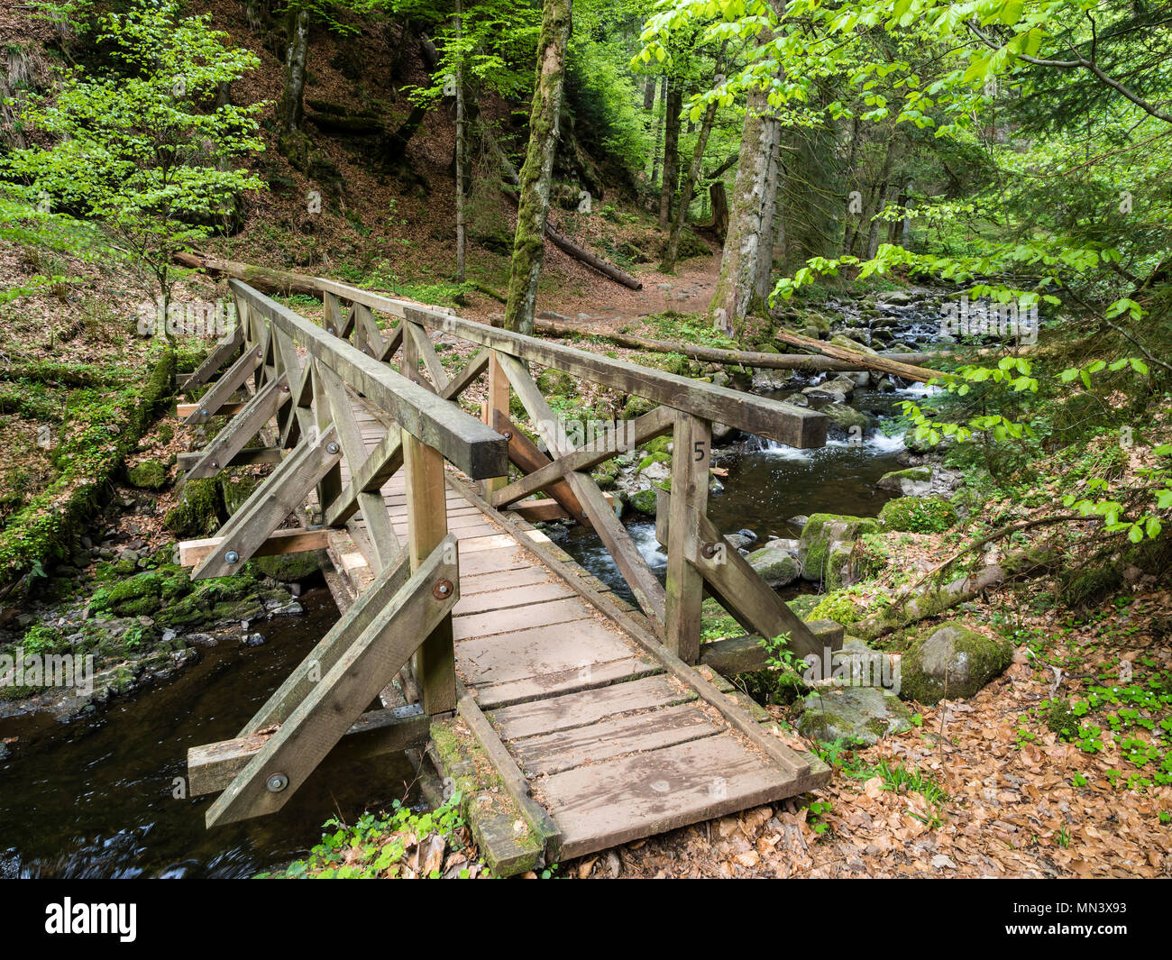 Hiking path with bridge in Ravenna gorge, near Hinterzarten, Black ...