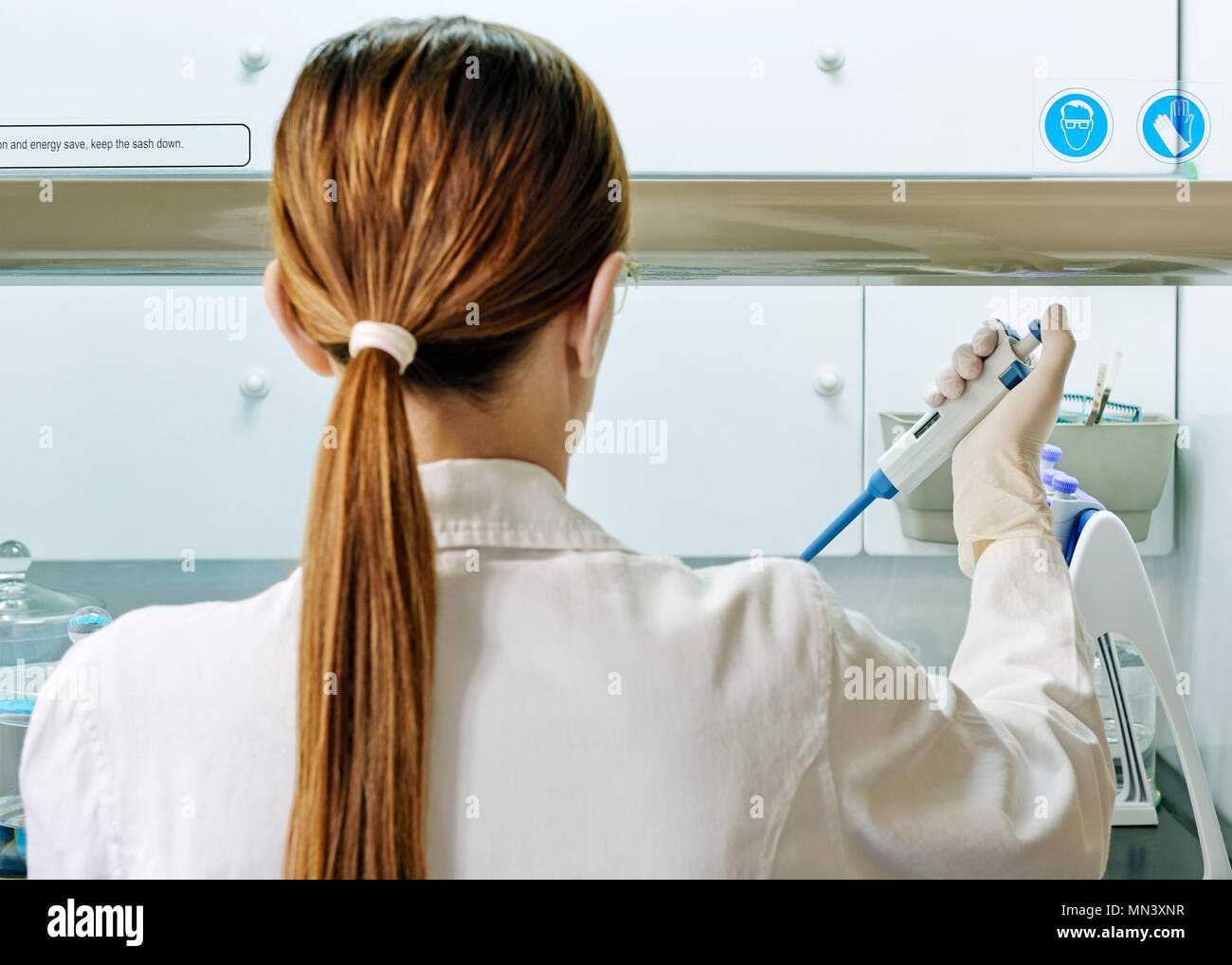Scientist Working in a Medical Research Laboratory Stock Photo
