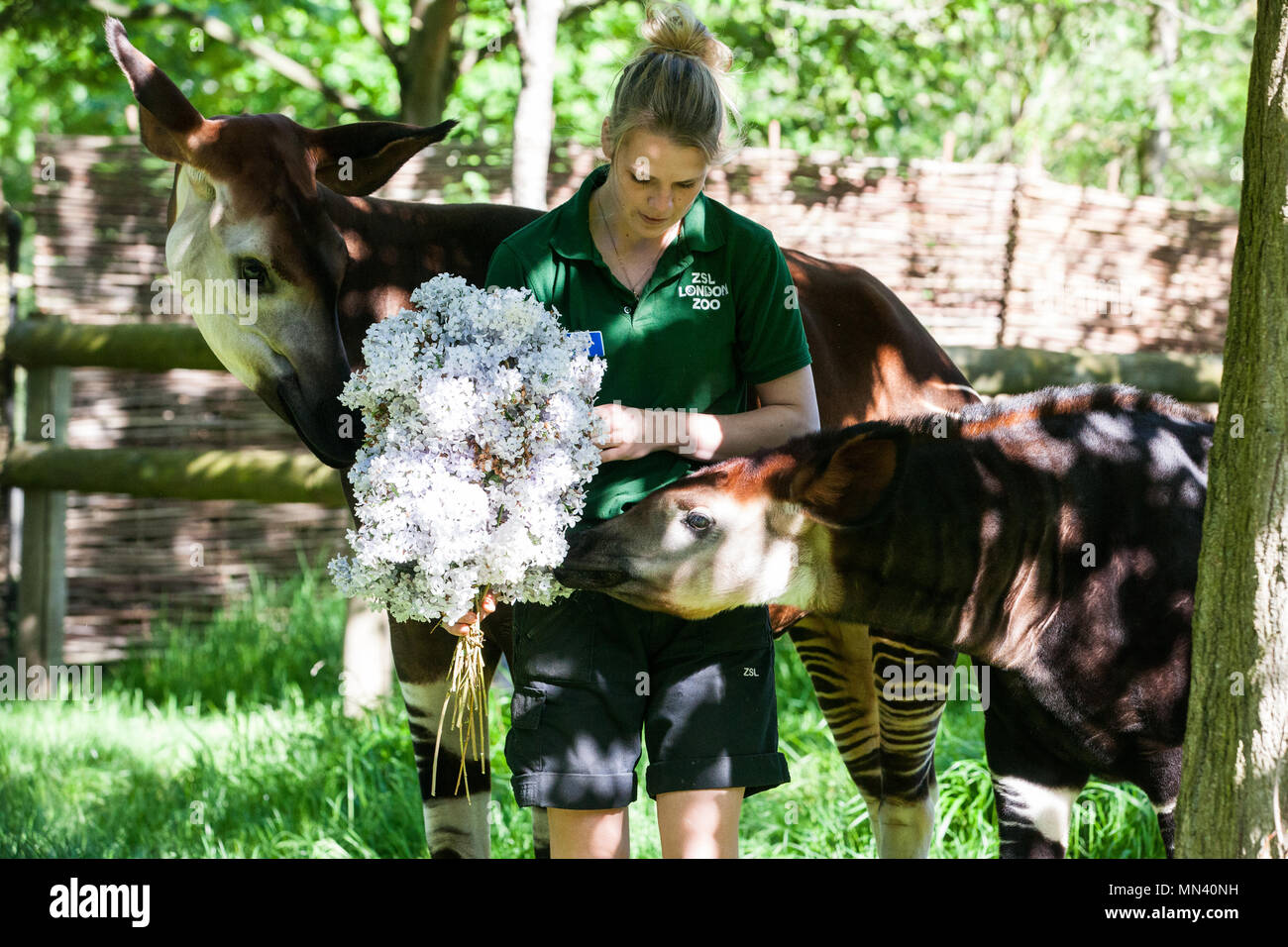 Gemma's Photo, Mark and Gemma's Old House : r/SeveranceAppleTVPlus, image size:1300x956