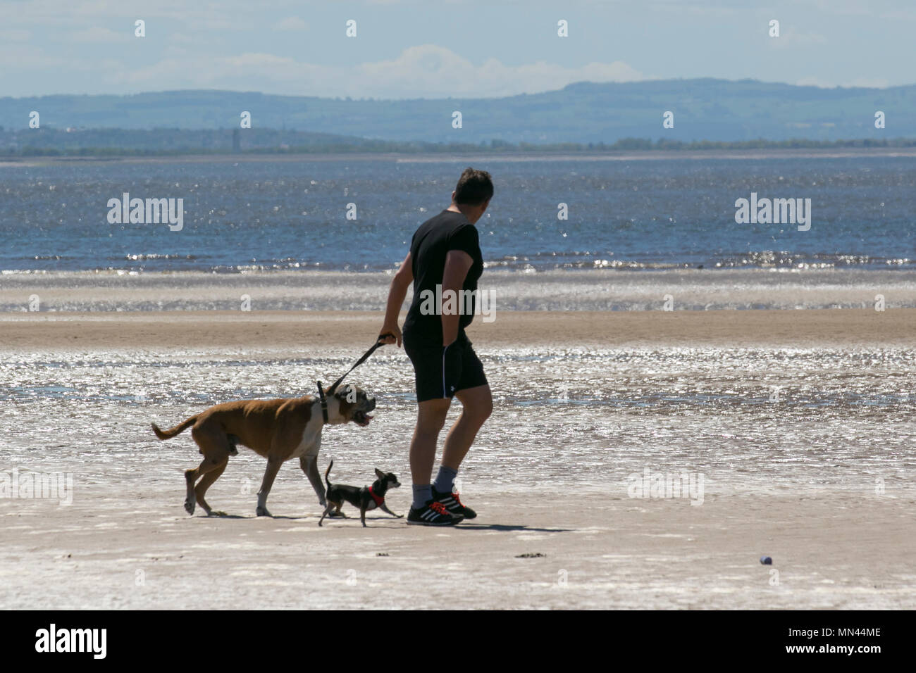 is crosby beach dog friendly