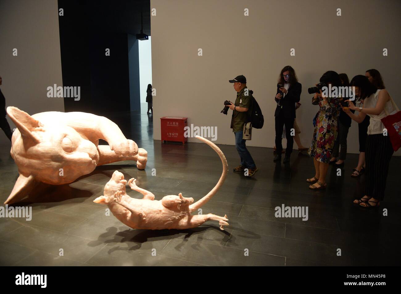 Beijing, China. 14th May, 2018. Visitors take photos during the 'Bridging the Gap: A Selection of Nominees of the Marcel Duchamp Prize' exhibition at Tsinghua University Art Museum in Beijing, capital of China, May 14, 2018. The exhibition, exhibiting the works of 10 artists selected for the Marcel Duchamp Prize, kicked off on Monday. Credit: Xiao Xiao/Xinhua/Alamy Live News Stock Photo