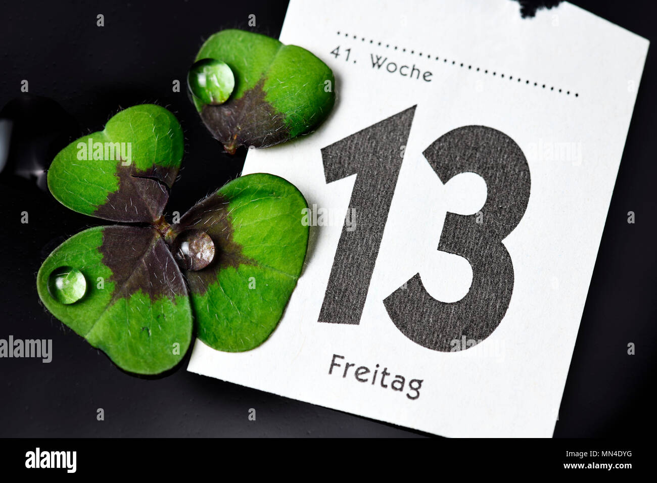 Calendar Sheet Friday the 13th and shredded clover, Kalenderblatt 