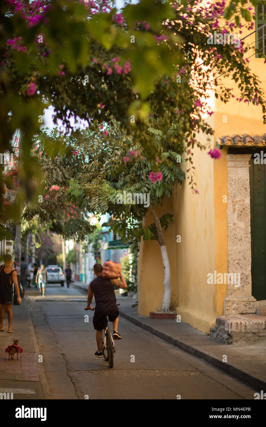 A man carrying a load on a bike on the colourful streets of Getsemani, Cartagena, Colombia Stock Photo