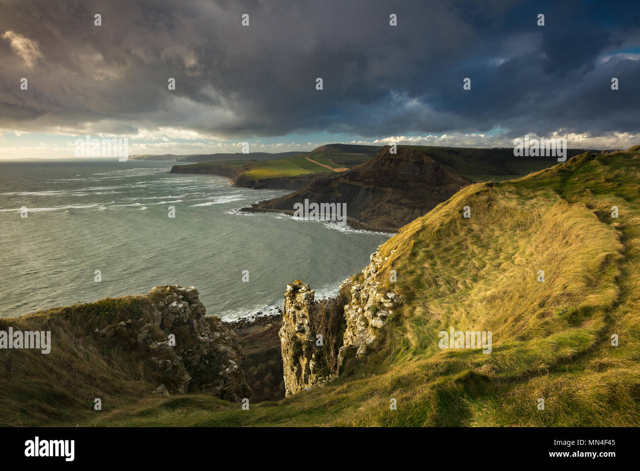 The Jurassic Coast from St Aldhem's Head, Dorset, England, UK Stock Photo