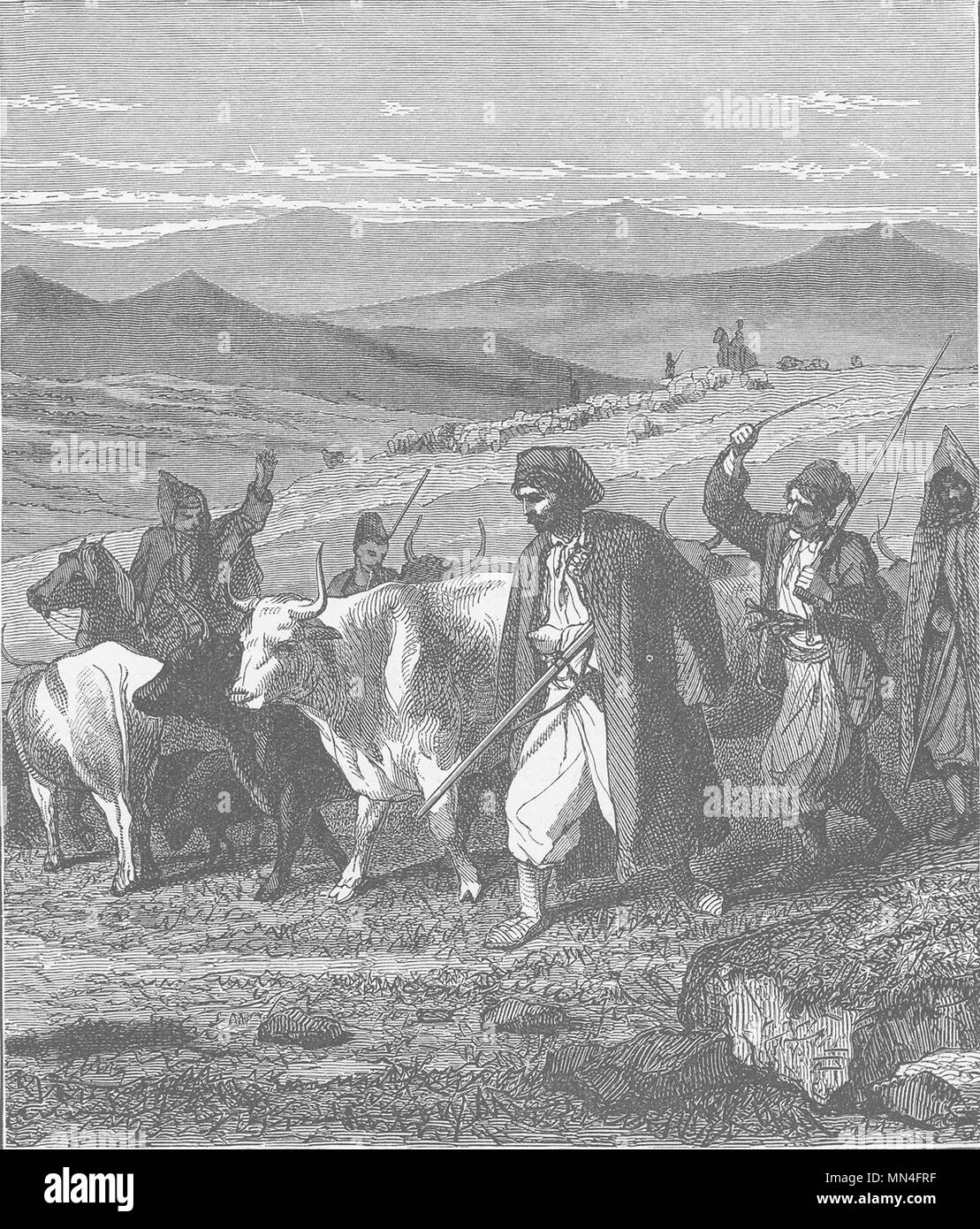 HUNGARY. Herdsmen on the military confines 1893 old antique print picture Stock Photo