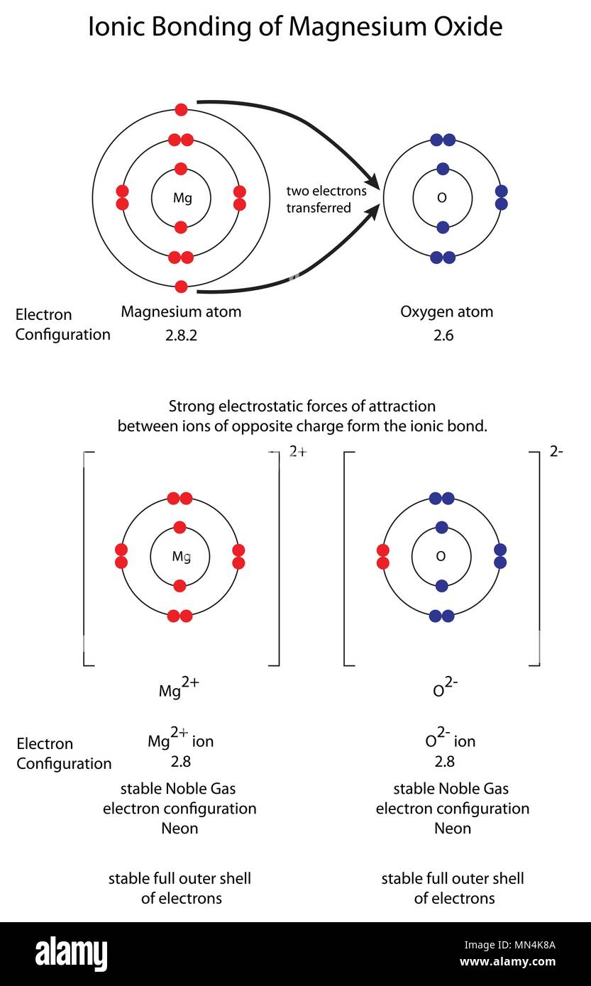 Diagram to show ionic bonding in magnesium oxide Stock Vector Image & Art -  Alamy