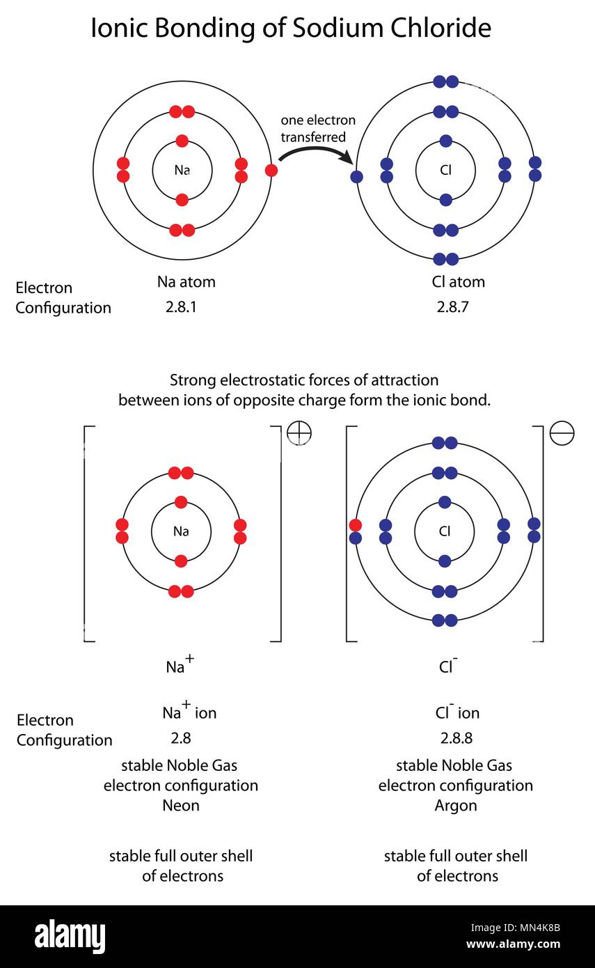 Diagram to show ionic bonding in sodium chloride Stock Vector