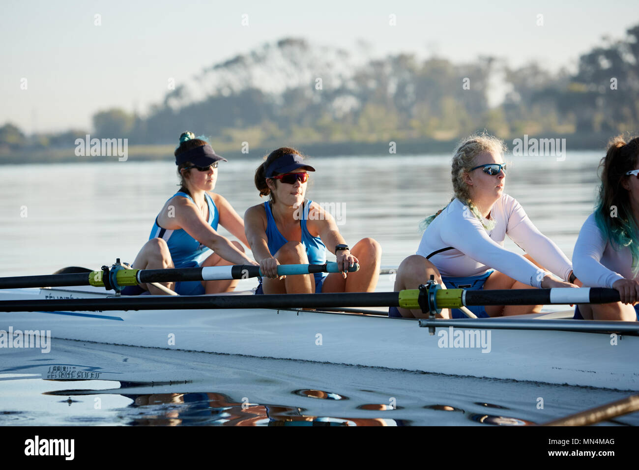 Female rowing team rowing scull on sunny lake Stock Photo Alamy