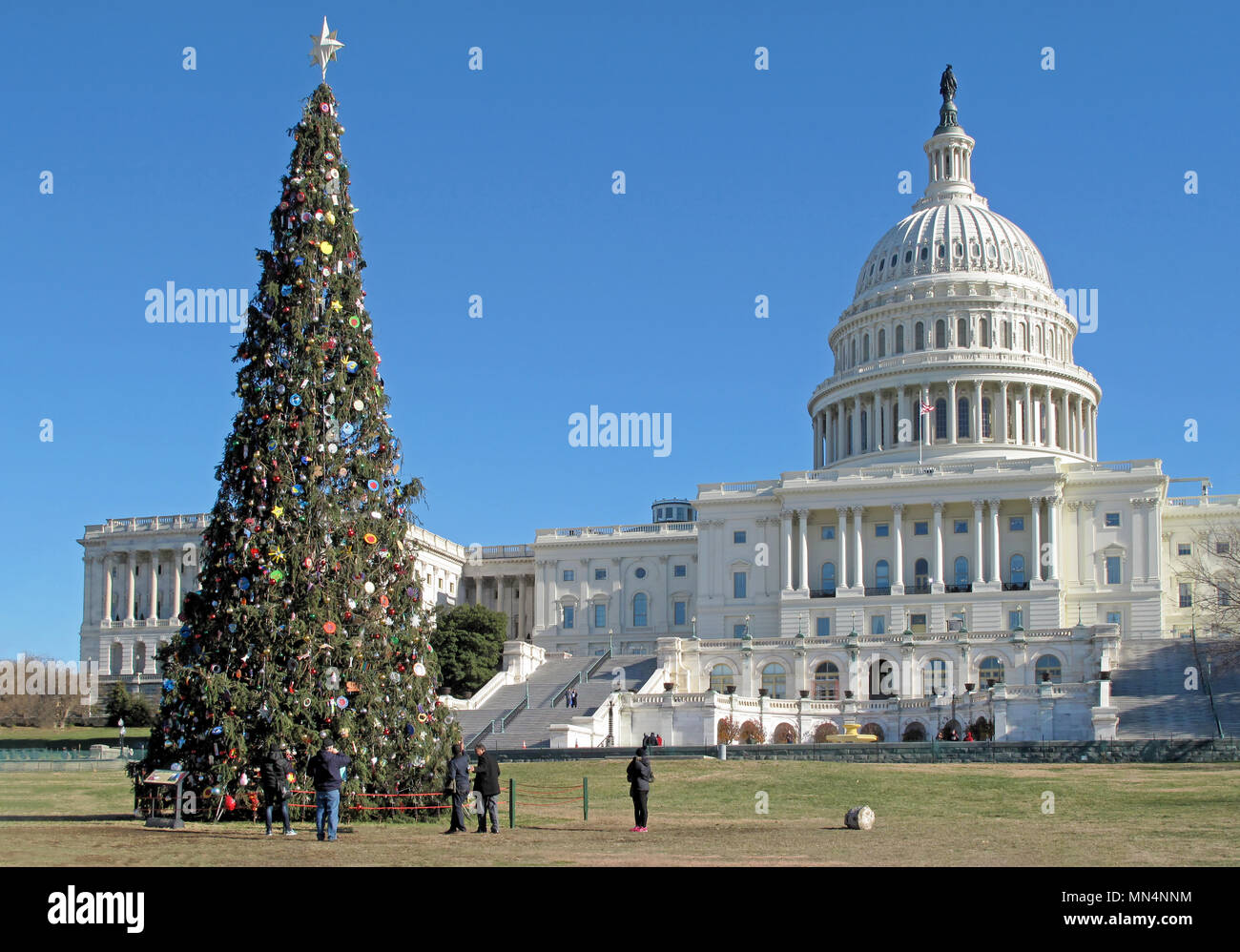 Christmas tree in front of United States Capitol Building in Washington