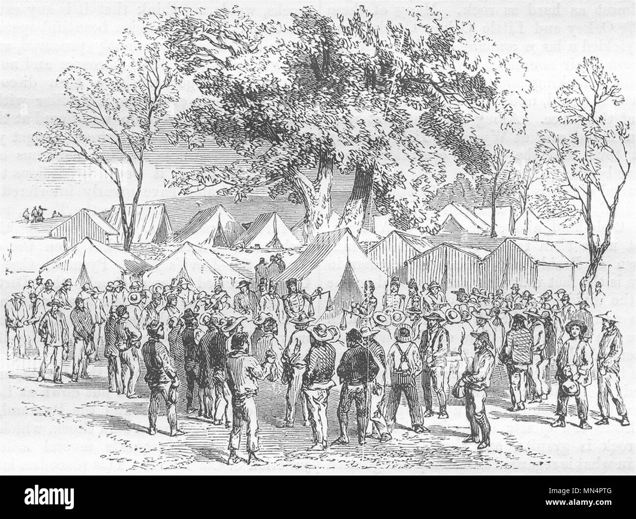 AUSTRALIA. Issuing Licenses 1870 old antique vintage print picture Stock Photo