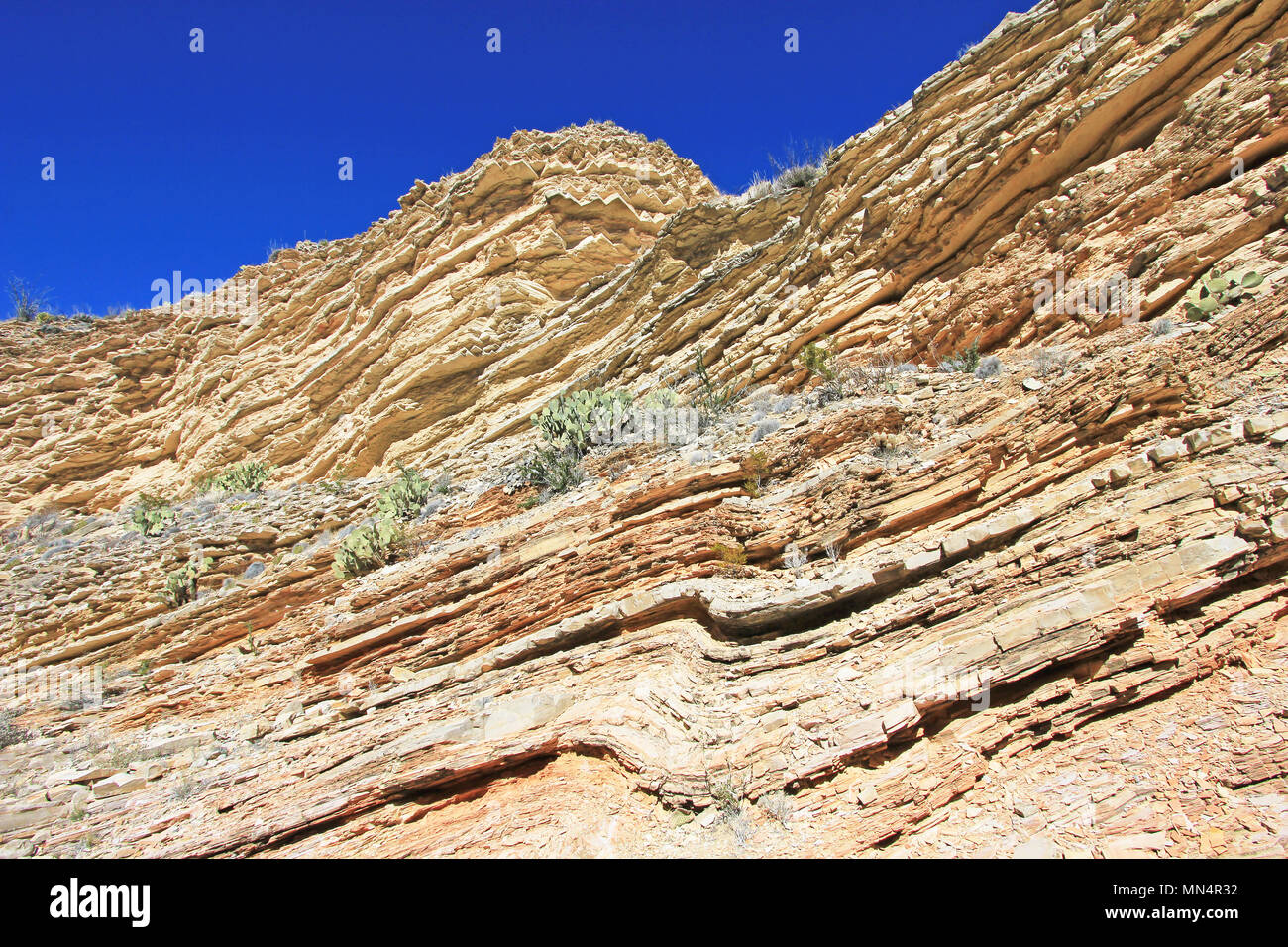 Yellow and red waved rock layers, Big Bend National Park, USA Stock Photo