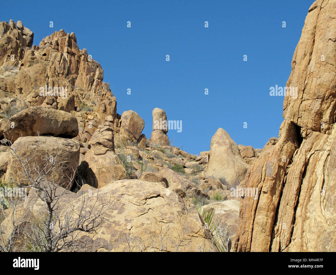 Grapevine Hills rock formations, Big Bend National Park, USA Stock Photo Alamy