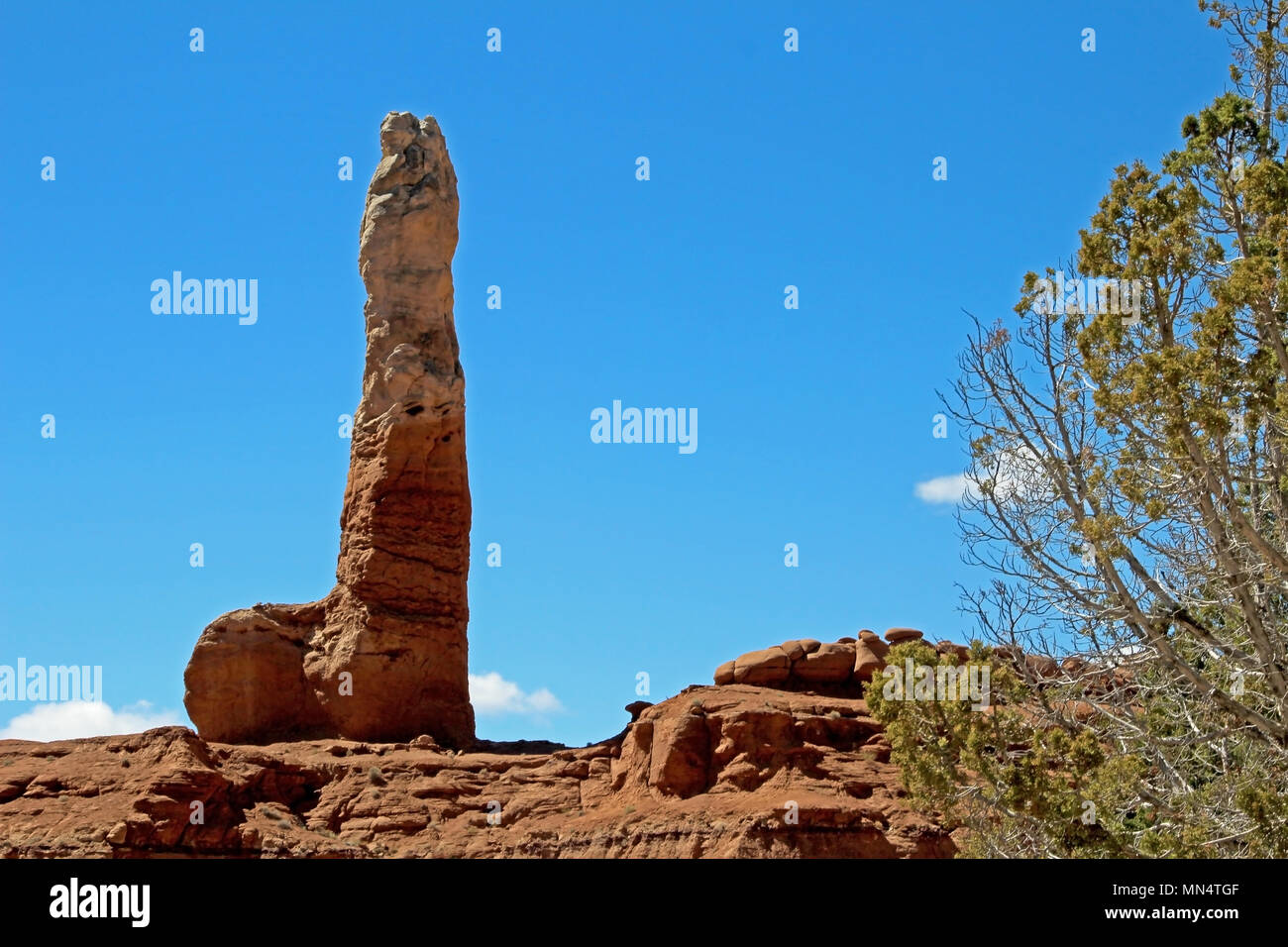 Sedimentary pipe, looking like a phallus symbol, Kodachrome Basin State ...