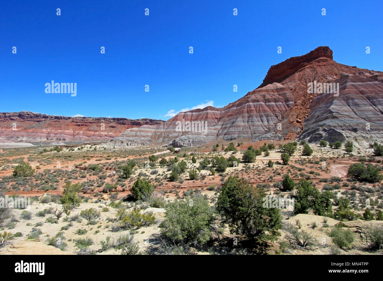 Colorful Badland Hills in Old Paria, Grand Staircase Escalante National Monument, Utah Stock Photo