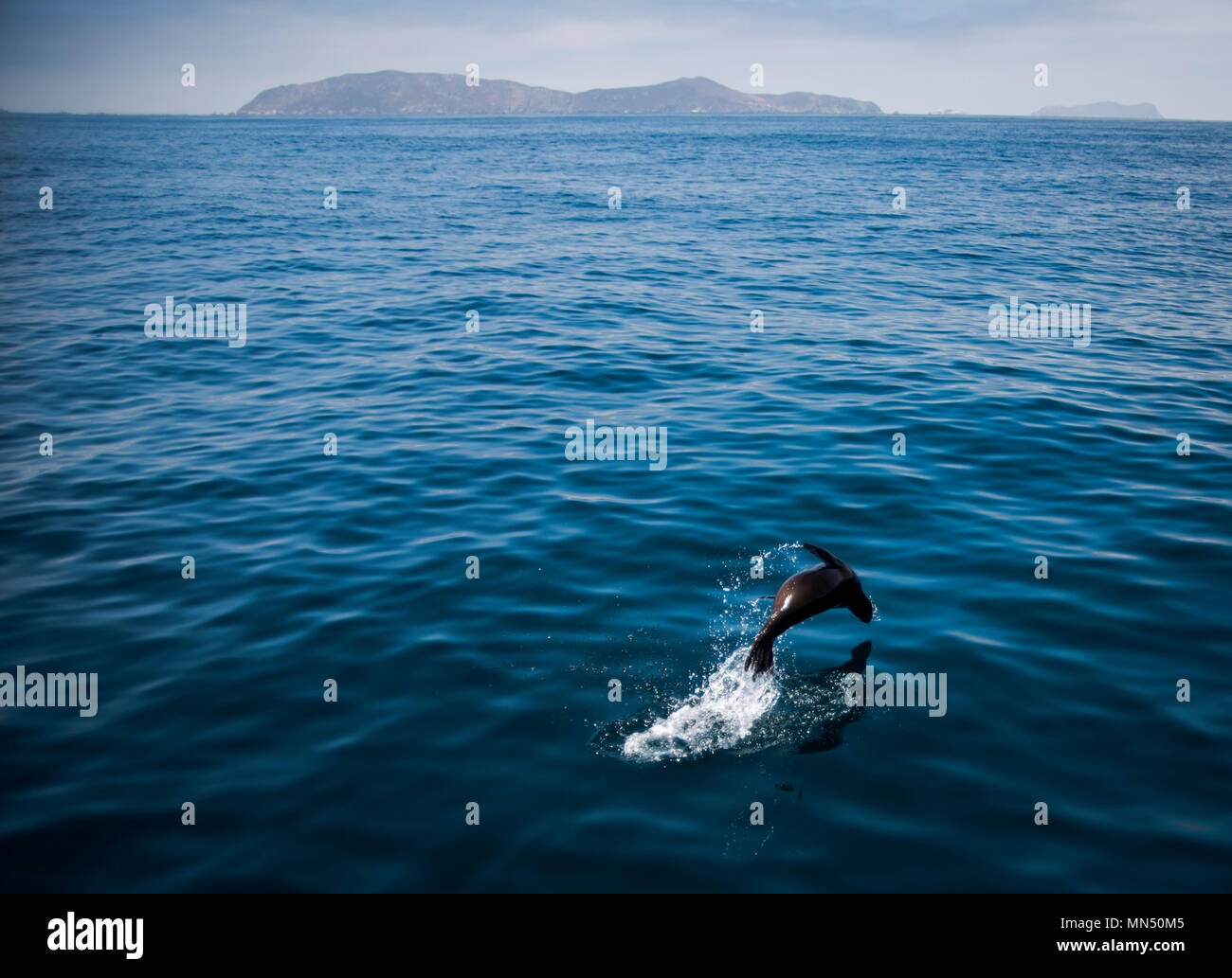 Nellis outdoor rec hires stock photography and images Alamy