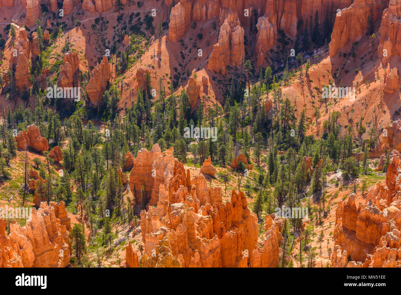 Sunset Point Bryce Scenic view of beautiful red rock hoodoos and the Amphitheater from ...