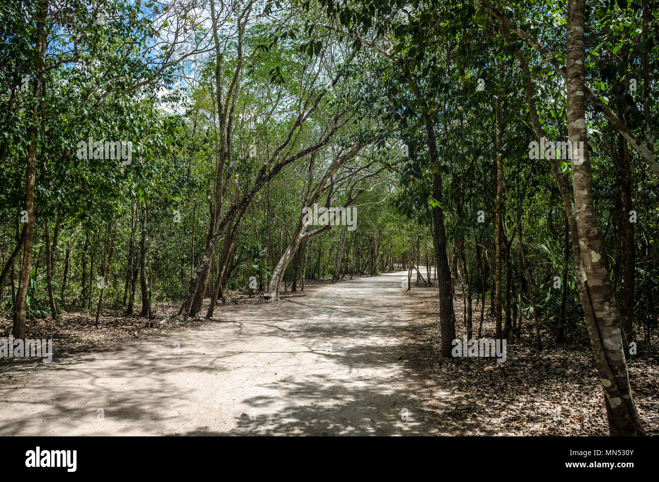 Roads made by the ancient mayas of Mexico Stock Photo