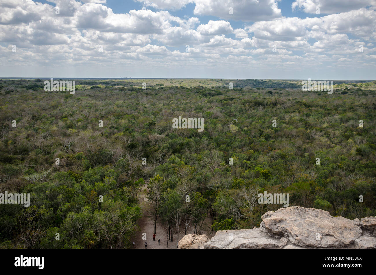 Horizon of Coba view from the top of the Nohoch Mul Stock Photo