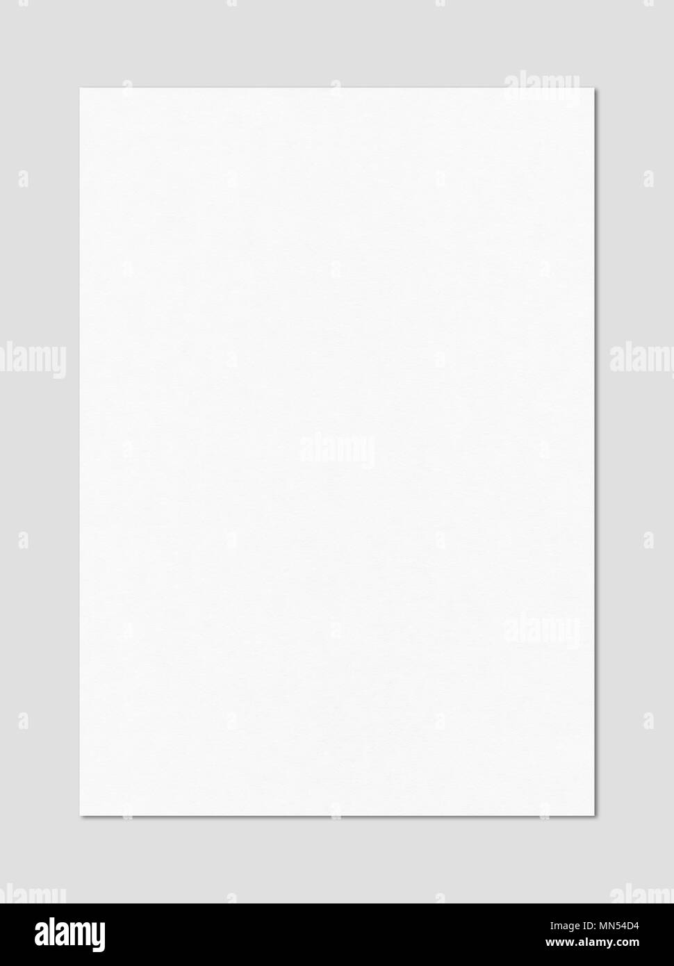 Blank White A4 paper sheet mockup template isolated on grey background  Stock Photo - Alamy