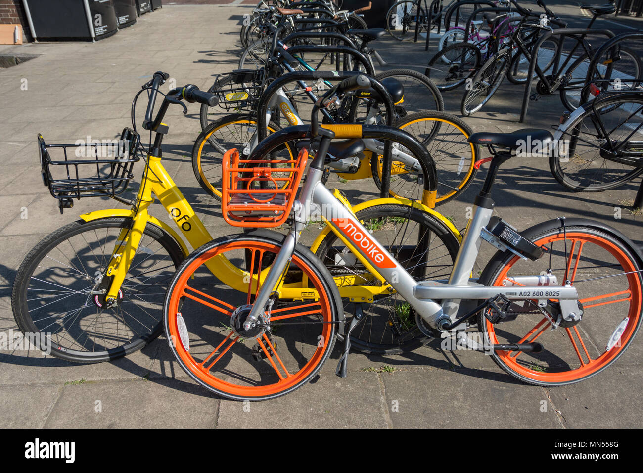 Ofo hi res stock photography and images Page 2 Alamy