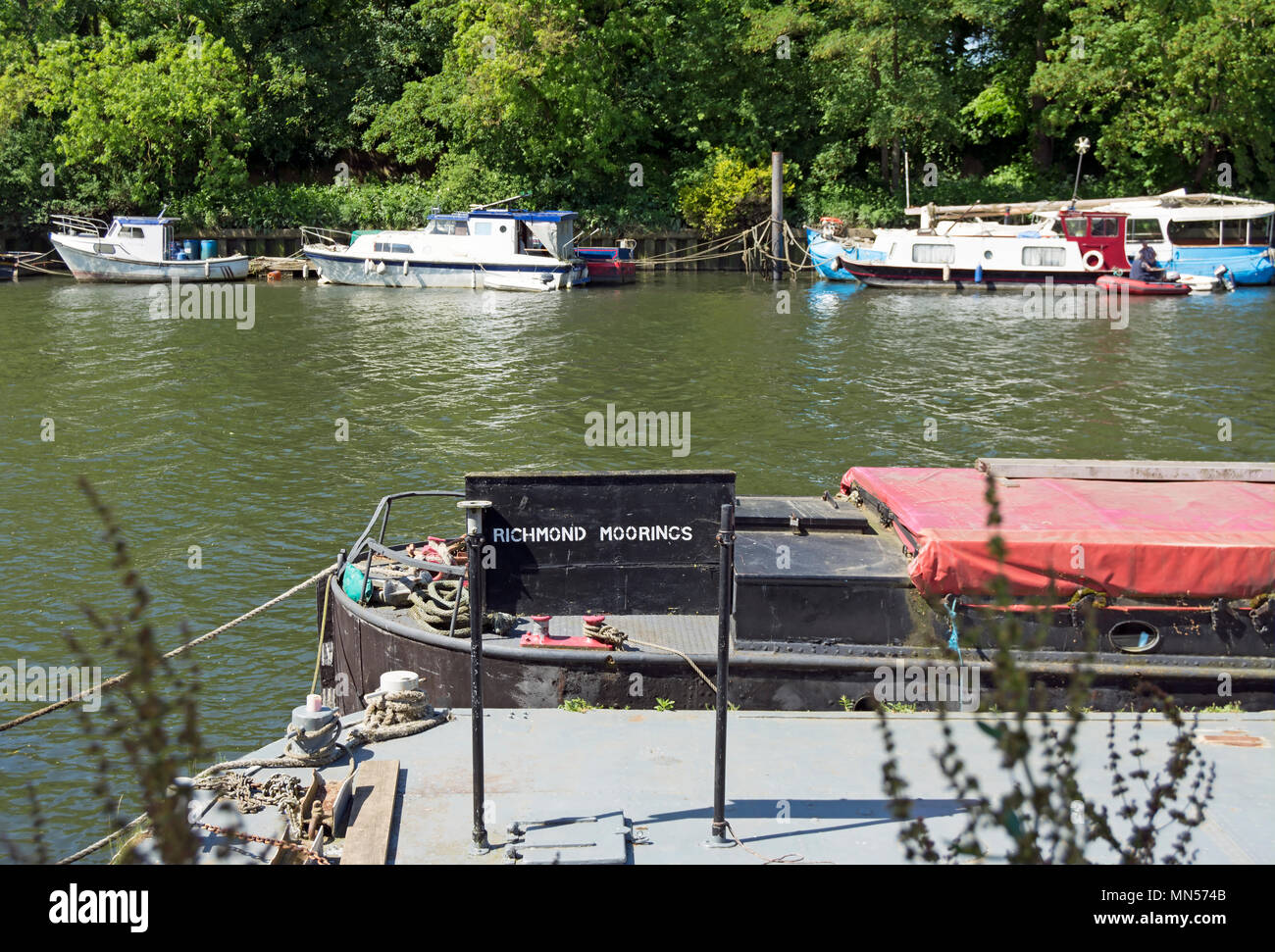 richmond moorings sign on the river thames at richmond upon thames
