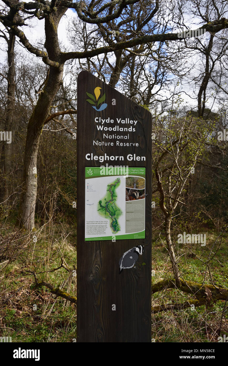 Signboard, Cleghorn Glen, Clyde Valley Woodlands National Nature