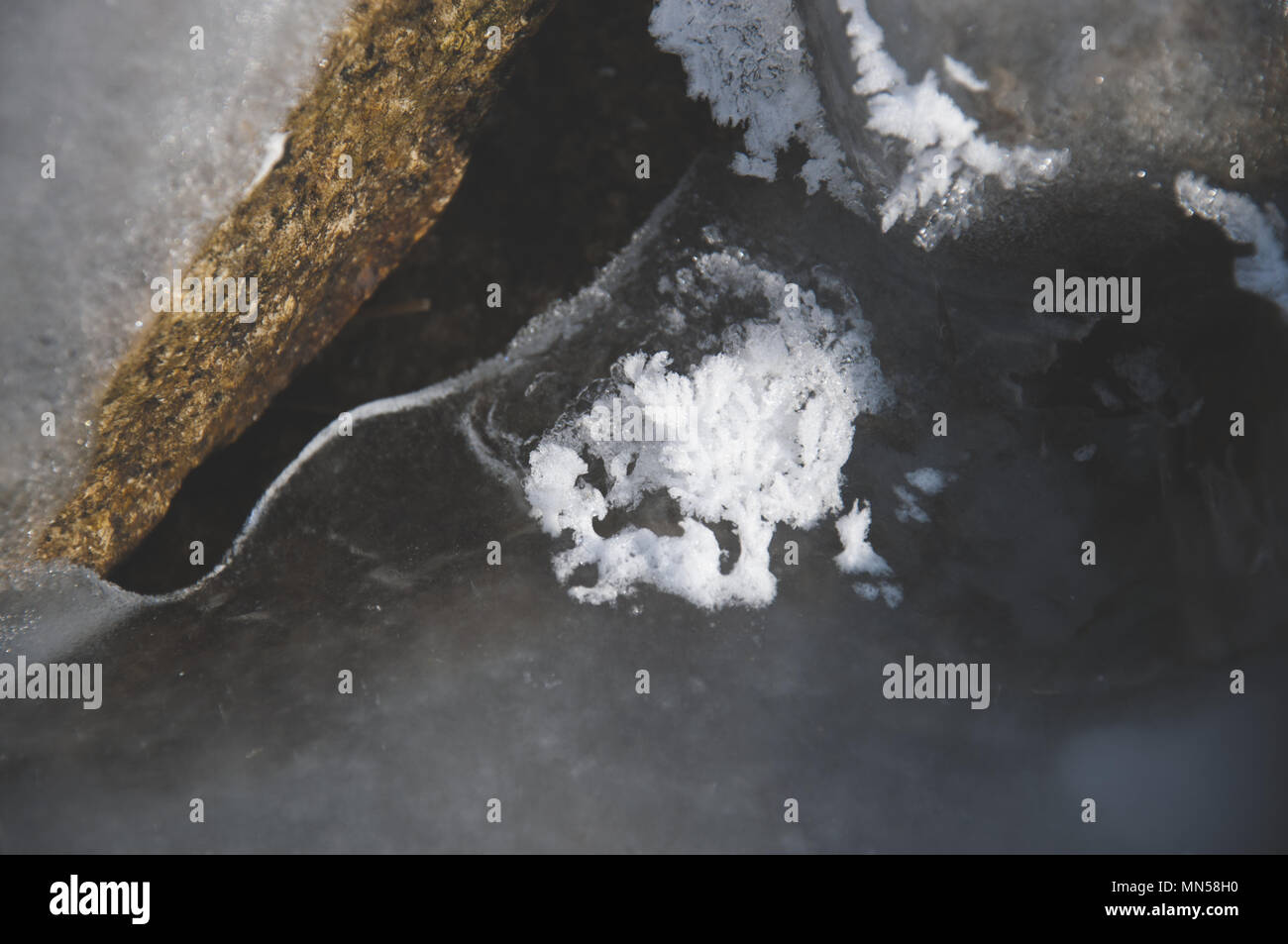 Detail of the crystalic structure of ice built on the ice flat surface ...