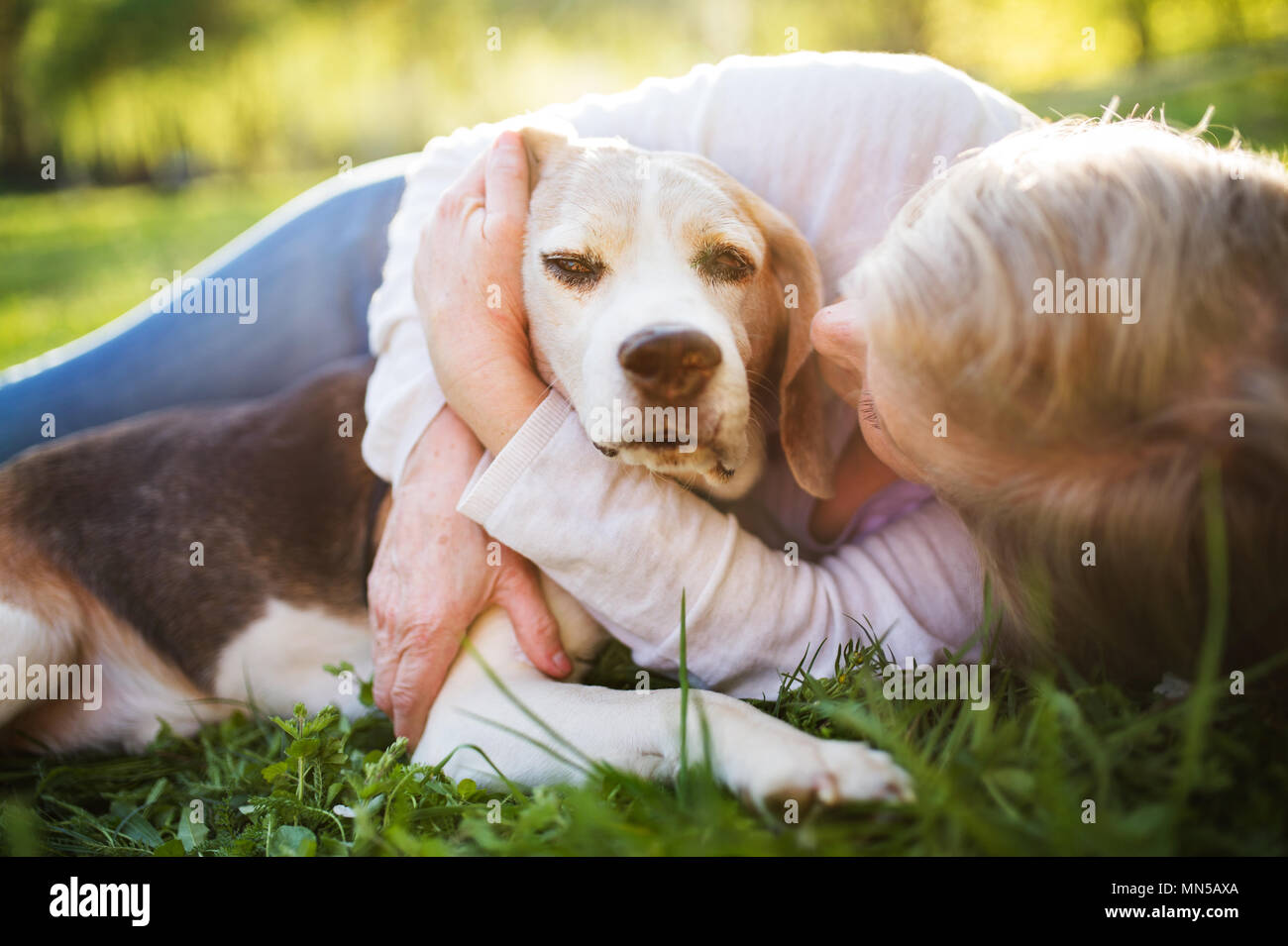 Unrecognizable senior woman with a dog lying down on a grass outside in spring nature. Stock Photo