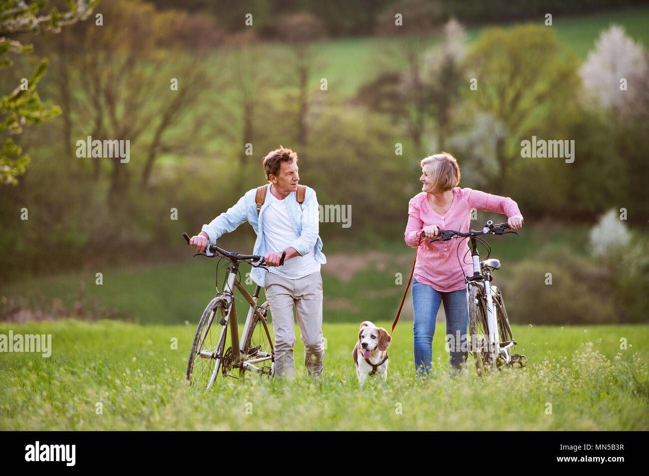 Beautiful senior couple outside in spring nature, walking with a dog ...