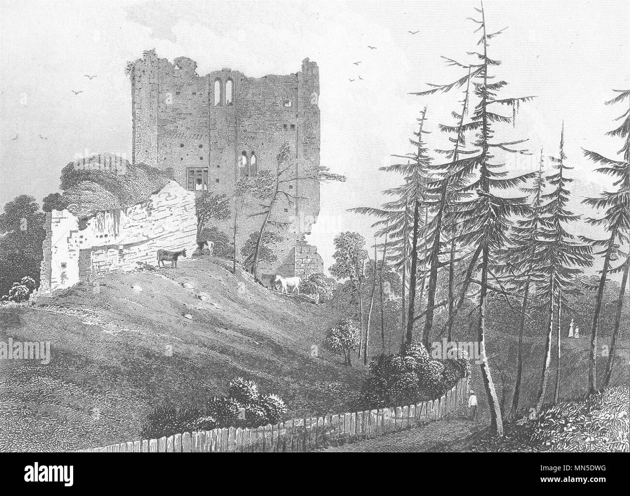 SURREY. Keep of Guildford castle. DUGDALE 1845 old antique print picture Stock Photo