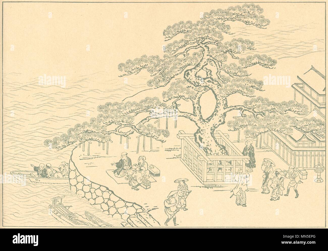 Japan The Giant Fir Tree 10 Old Antique Vintage Print Picture Stock Photo Alamy