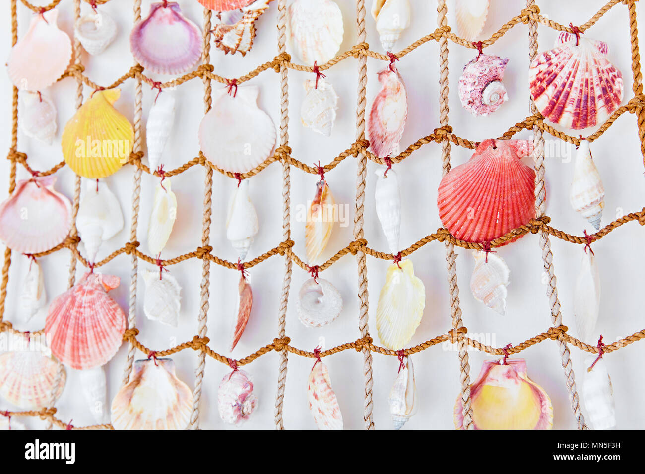 Decorative colorful seashells hanging on a white wall Stock Photo