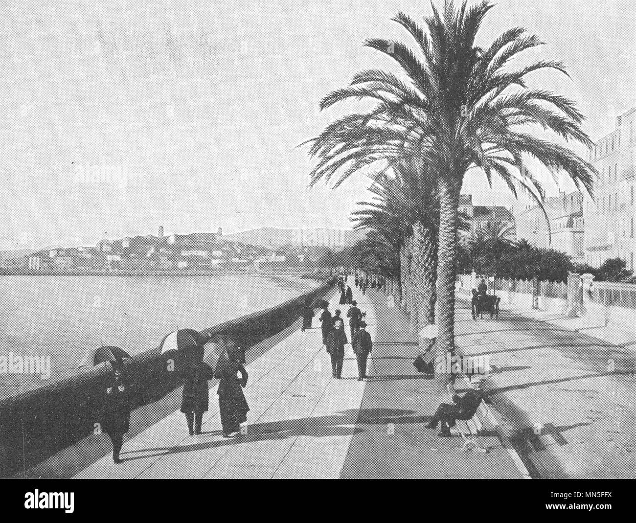 Cannes boulevard croisette Black and White Stock Photos & Images - Alamy
