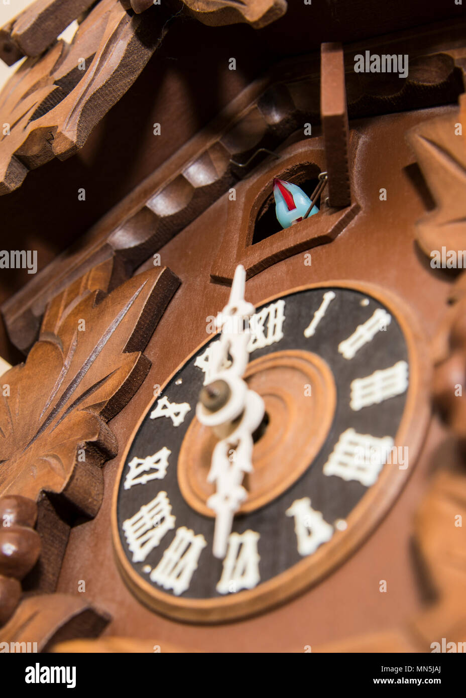 Face of Cuckoo Clock close up Stock Photo Alamy
