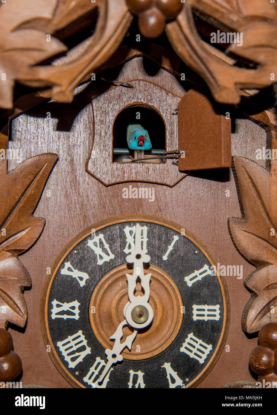 Face of Cuckoo Clock close up Stock Photo Alamy