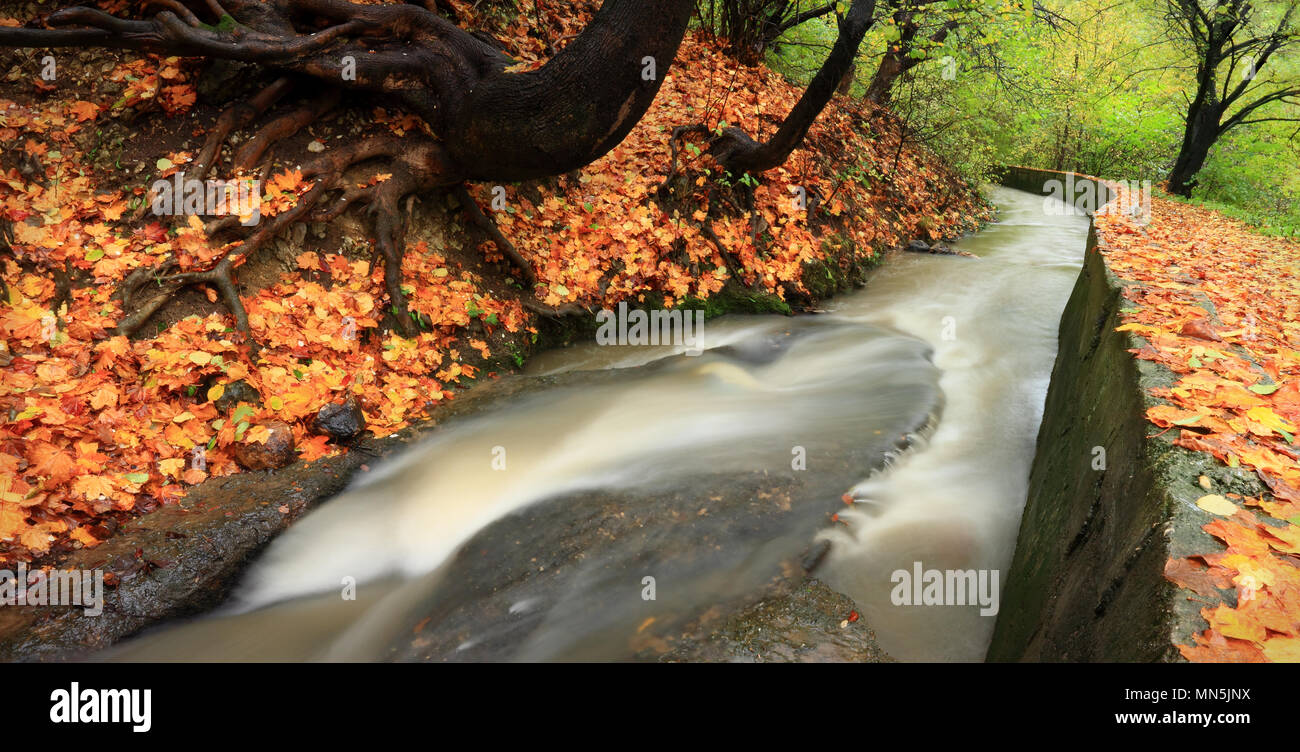 Brasov county romania small hi res stock photography and images Alamy