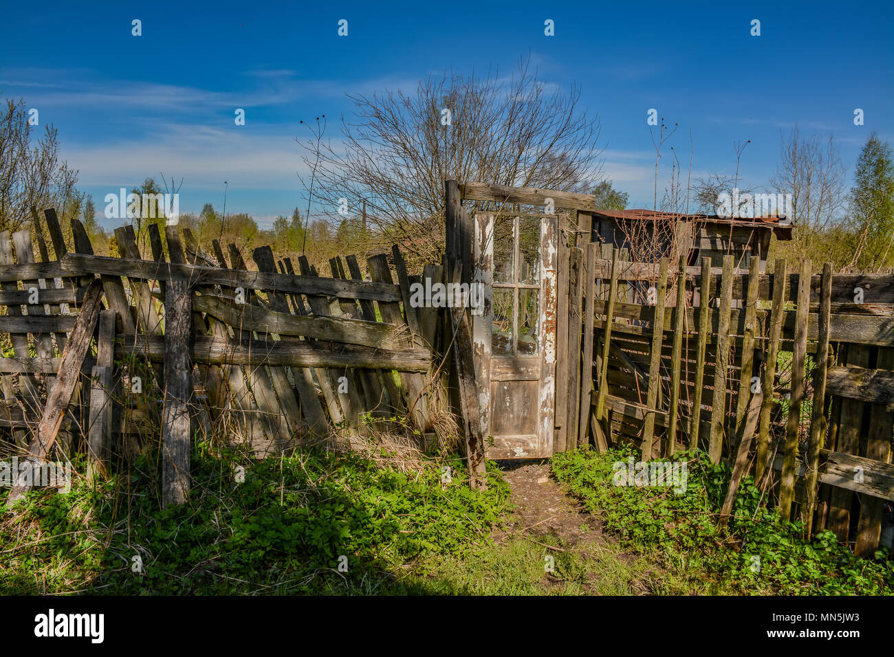 Abandoned garden plots in the spring. Collapsed wooden buildings Stock