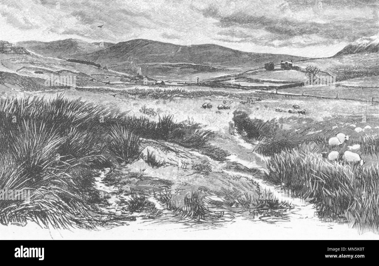 NORTHUMBERLAND. Keilder Moors (with peel fell to the right)  1901 old print Stock Photo