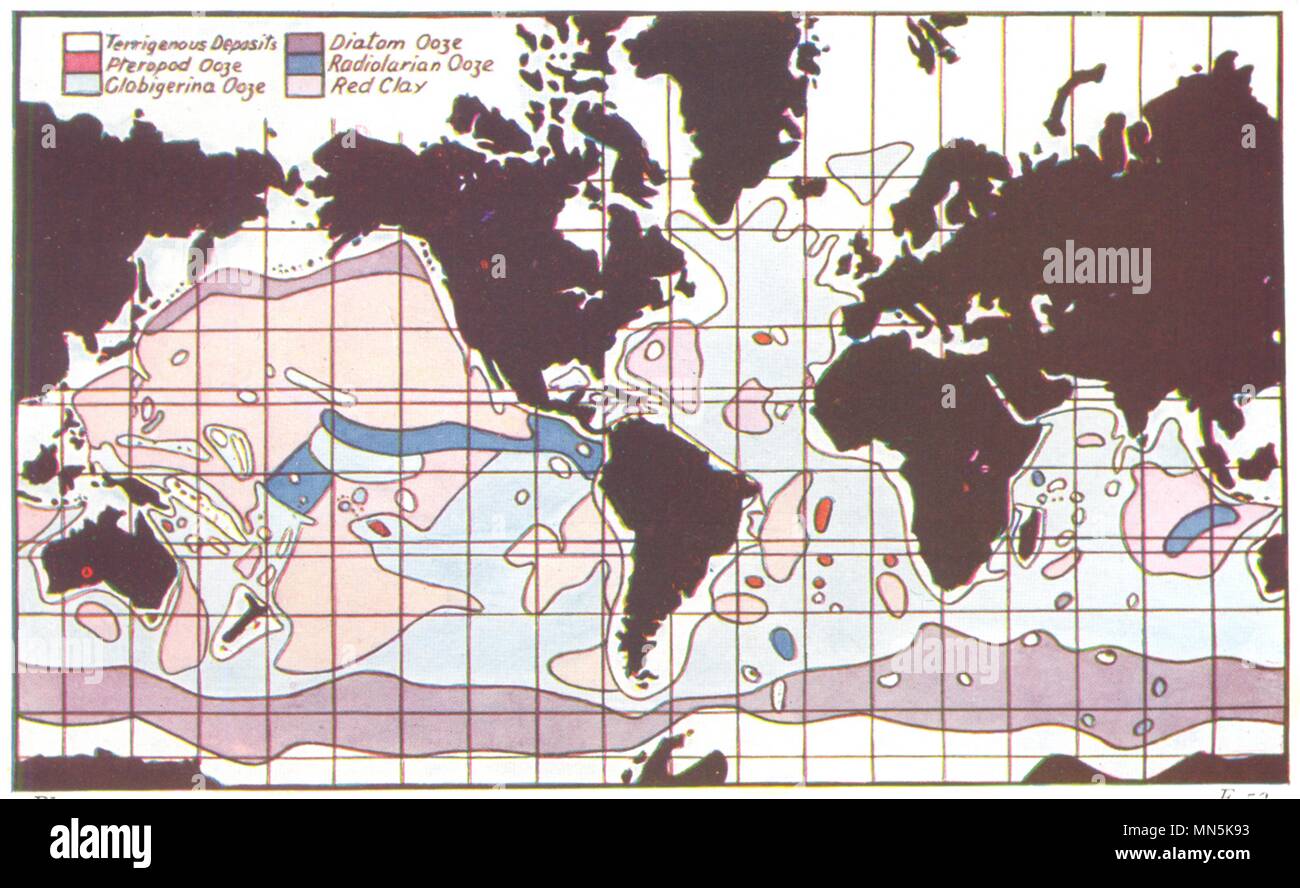 WORLD. Chart showing bottom deposits. Diatom Pteropod Radiolarian ooze 1936 map Stock Photo
