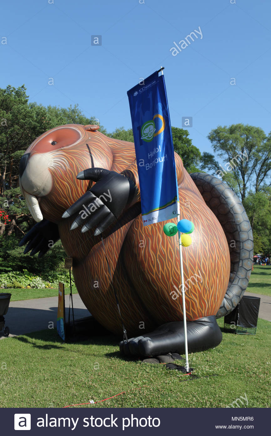 Canada Symbol Beaver Stock Photos & Canada Symbol Beaver Stock Images ...