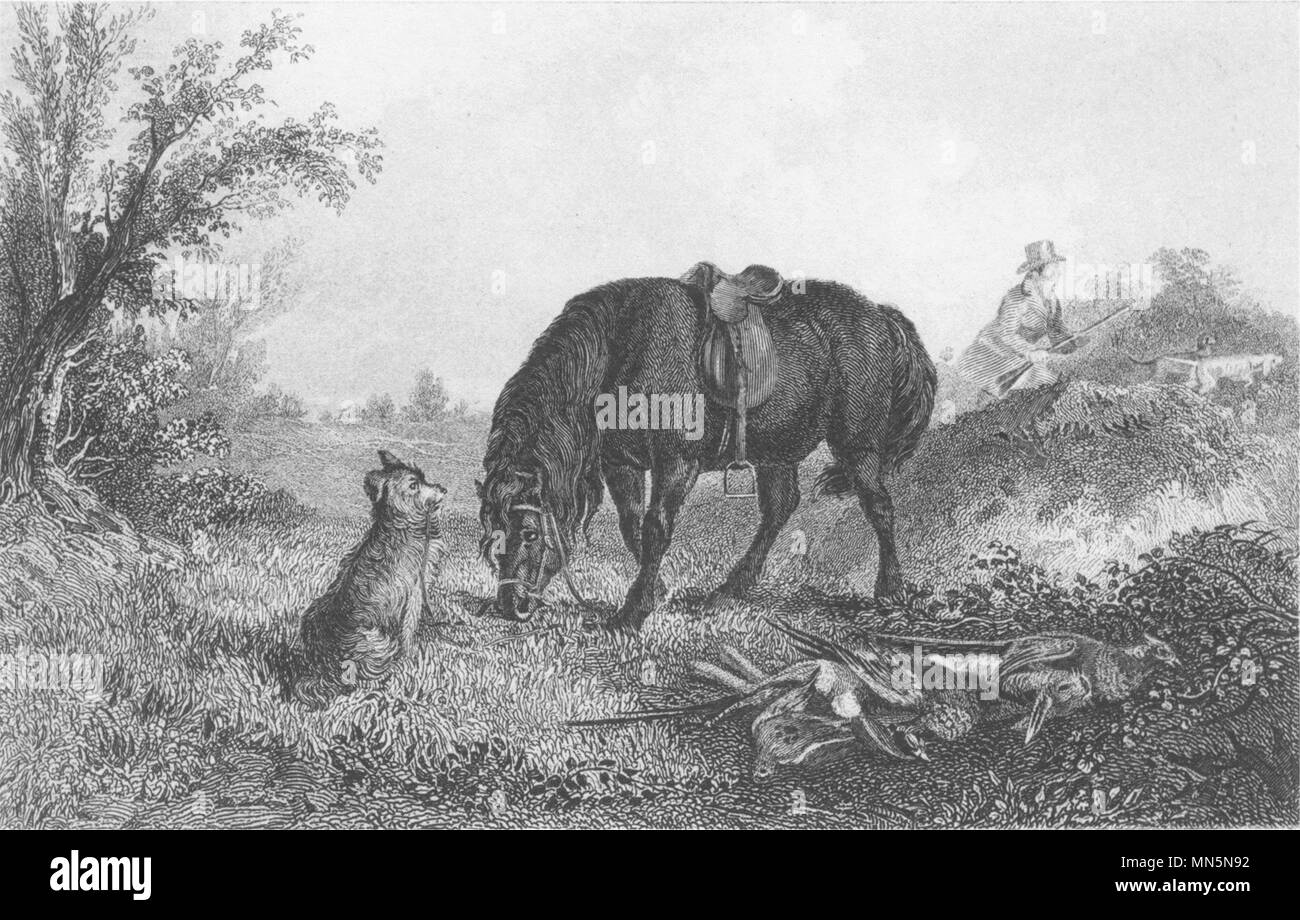 DOGS. 'In Charge'. Dog guarding Horse. Man shooting (Edward Jesse) 1888 print Stock Photo