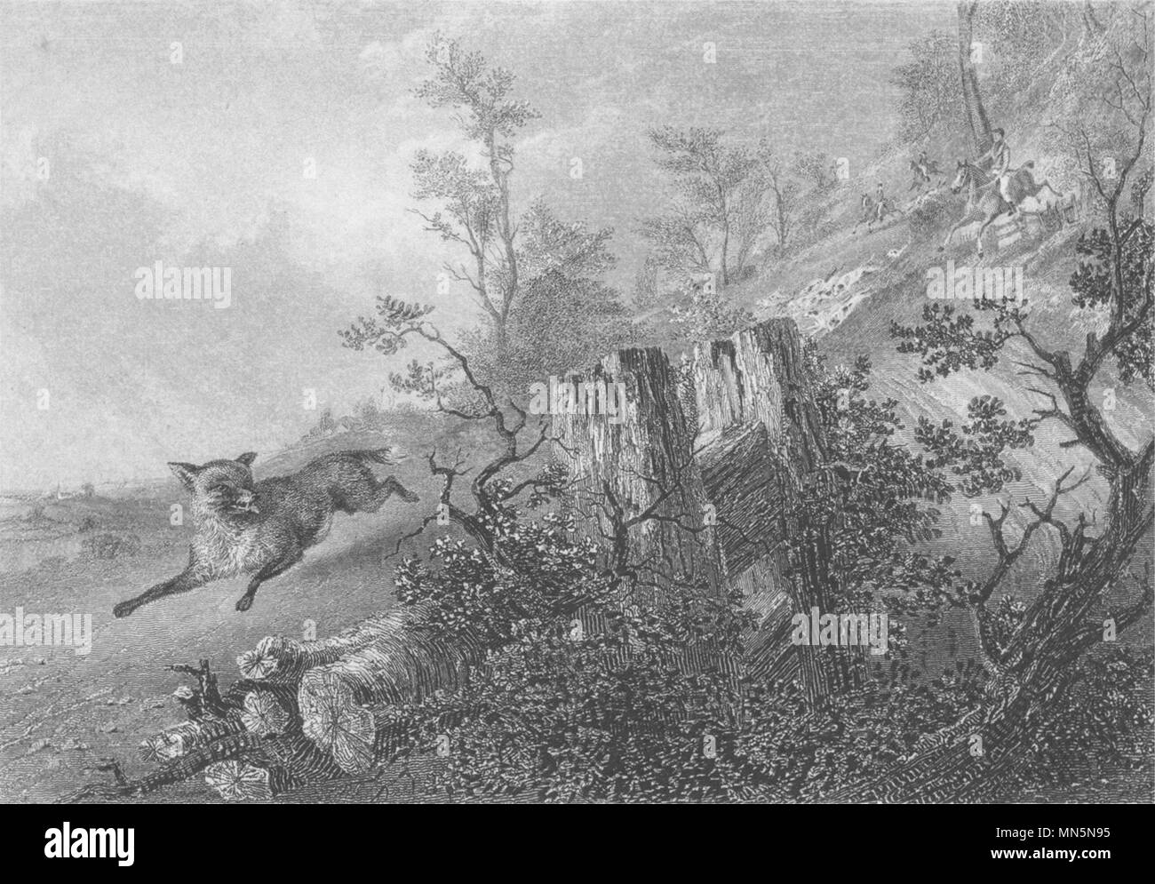 DOGS. Fox Hunting. Dogs in pursuit. Good steel engraving (Edward Jesse) 1888 Stock Photo