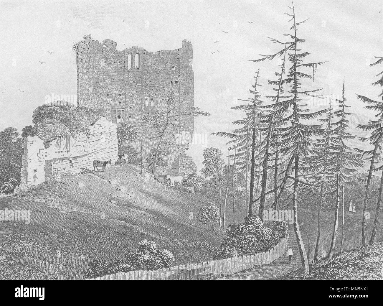 SURREY. Keep of Guildford Castle, Surrey (Dugdale) c1840 old antique print Stock Photo