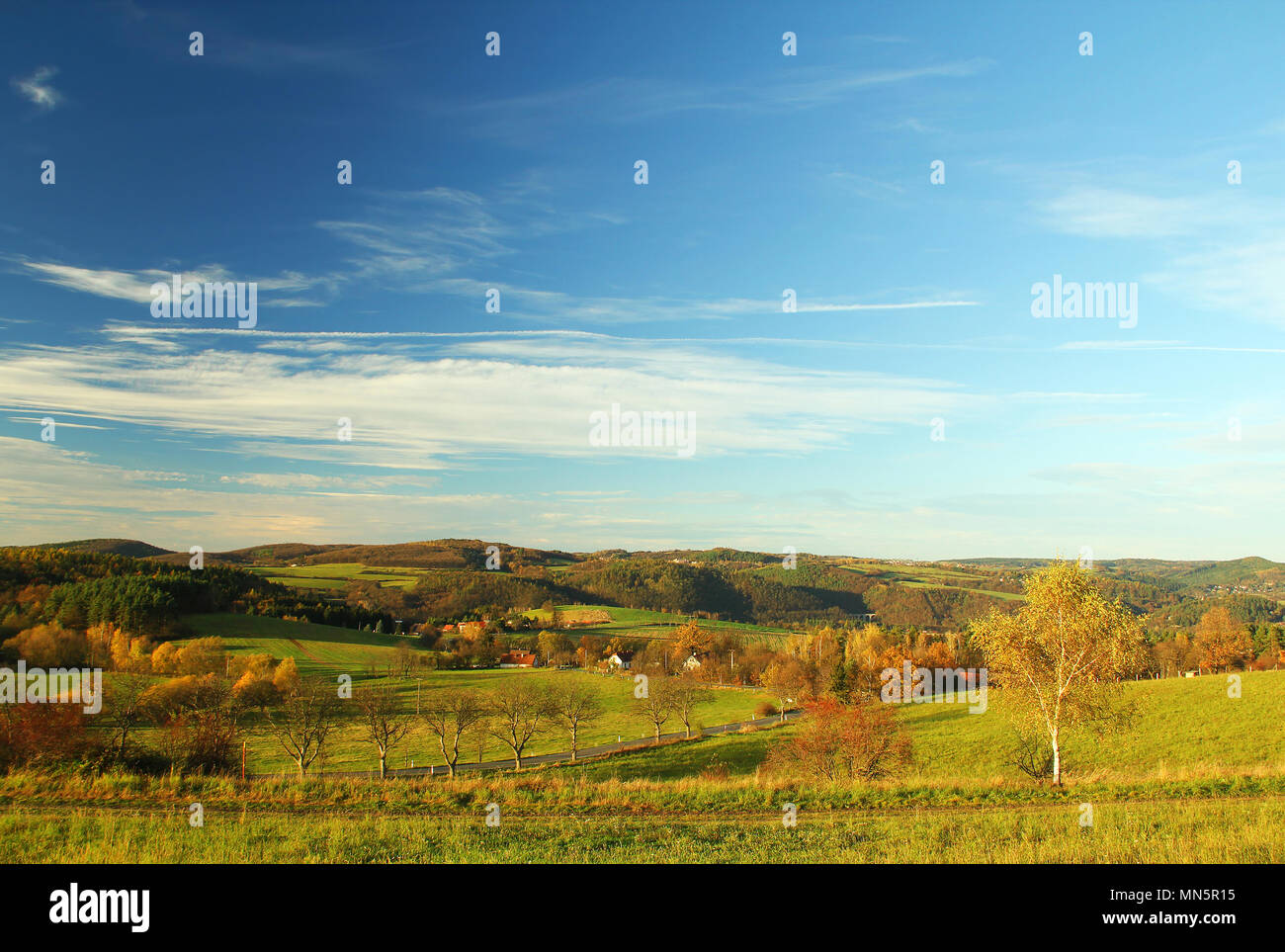 Autumn nature with blue sky and colored trees Stock Photo - Alamy