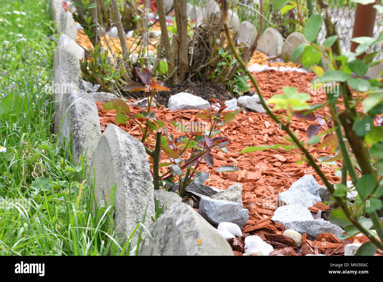 Decorative Rock Garden Stone With Colored Wood Stock Photo